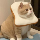 traveltojupiter avatar