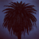 travis-stearns avatar