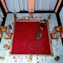 treasuredintrospection avatar