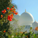 treasures-of-paradise avatar