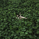 treasures-of-the-times-blog avatar