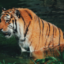 treasuresofsunshine avatar