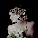 treasuryofknowledge avatar