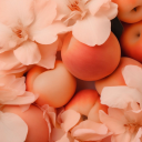 treatmelikeasmut avatar