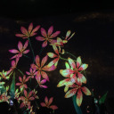 treatutoameal avatar