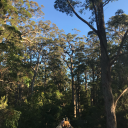 treble--maker avatar