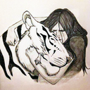 trechostigre-blog avatar