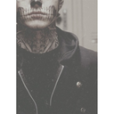 tredicinovembre avatar