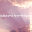 tredjeehjulet avatar