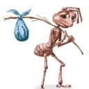 tree-man-supreme avatar