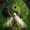 tree-of-life-network avatar