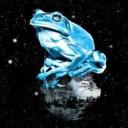 tree0frog avatar