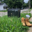 treedwellinggoat avatar