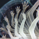 treehousemind avatar