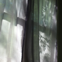 trees-rivers-mountains-lakes avatar