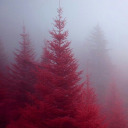 treesandbeesandteas avatar