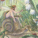 treesandbeings avatar