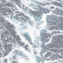 treesandlights avatar