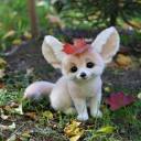 treesandpebbles avatar