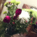 treestakeleave-blog avatar