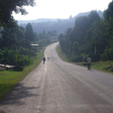 treetopsandraindrops-blog avatar