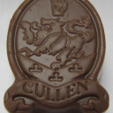 treetopsinthesky avatar