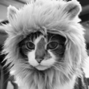 treinandoparaserfeliz-blog avatar