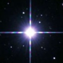 tremblingbluestars avatar