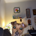 tremendously-dazed-universe avatar