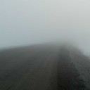 tremendousnerdbatpickle-blog avatar