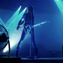 trench-we-trust avatar