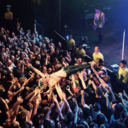 trenchobbsession avatar