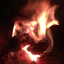 trendelemburgwall avatar