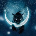 trendwizardfam-blog avatar