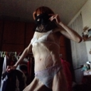 trentakgintutto avatar