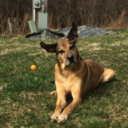 trevoroatation avatar