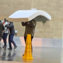 trexdoesbfexjst avatar