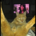 trexitsadinosaur avatar