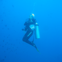 triacylglycerol avatar