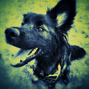 trialbyscience avatar