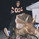 triceratops-official avatar