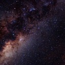 trickster-coyote avatar