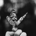 trickster-queen avatar