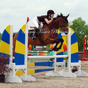 tricky-trakehners-blog avatar