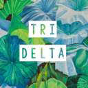 trideltvillanova avatar