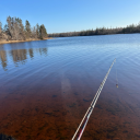 triggermolson357 avatar