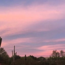 triiippiehiiippie avatar