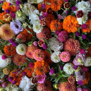 triiiste-fleur avatar