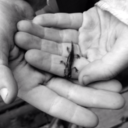 trillion-aire avatar