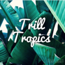 trilltropics avatar